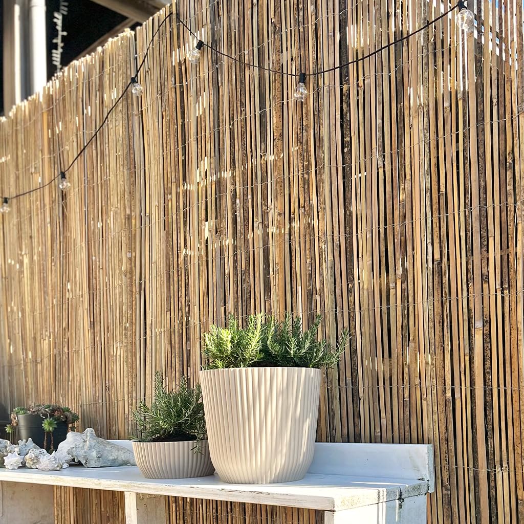 Bambus Sichtschutz Rollzaun Gespalten H100 x B500 cm Natur - Balkon Sichtschutz aus Split Bambus, Bambusmatte Sichtschutz für Balkon, Garten, Terrasse
