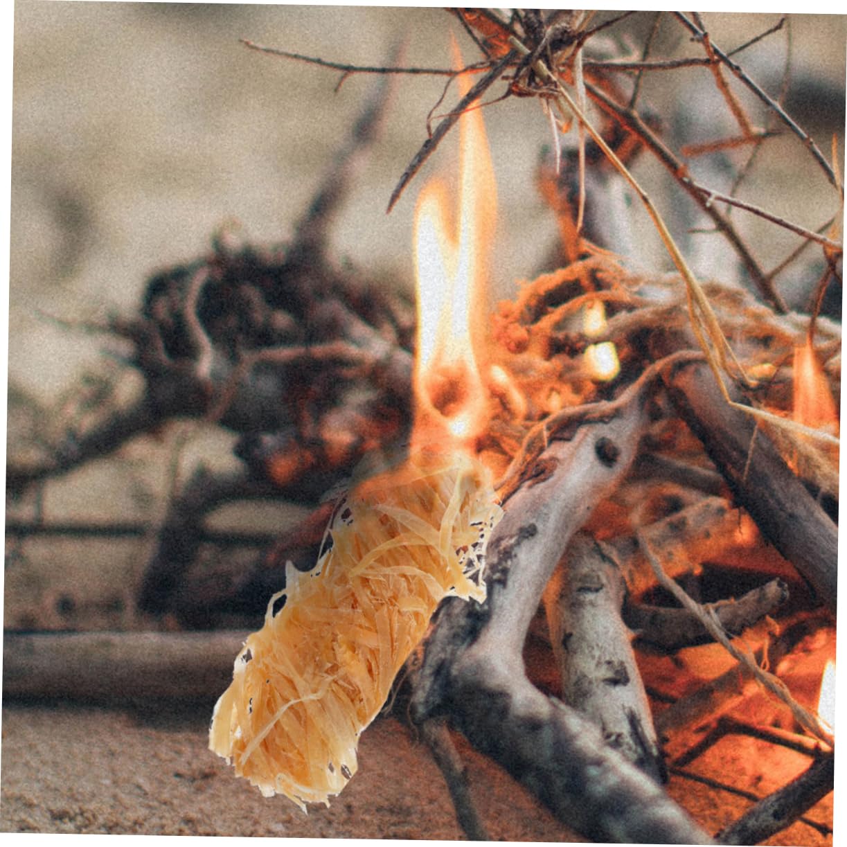 BESPORTBLE 50pezzi Accendifuoco Naturali Legno Veloci per Barbecue e Campeggio per Condizioni Meteorologiche Difficili Ecologici per Cucina all Aperto