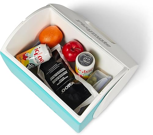 Miniatura 60 de Igloo Maxcold Ice Block Cubo