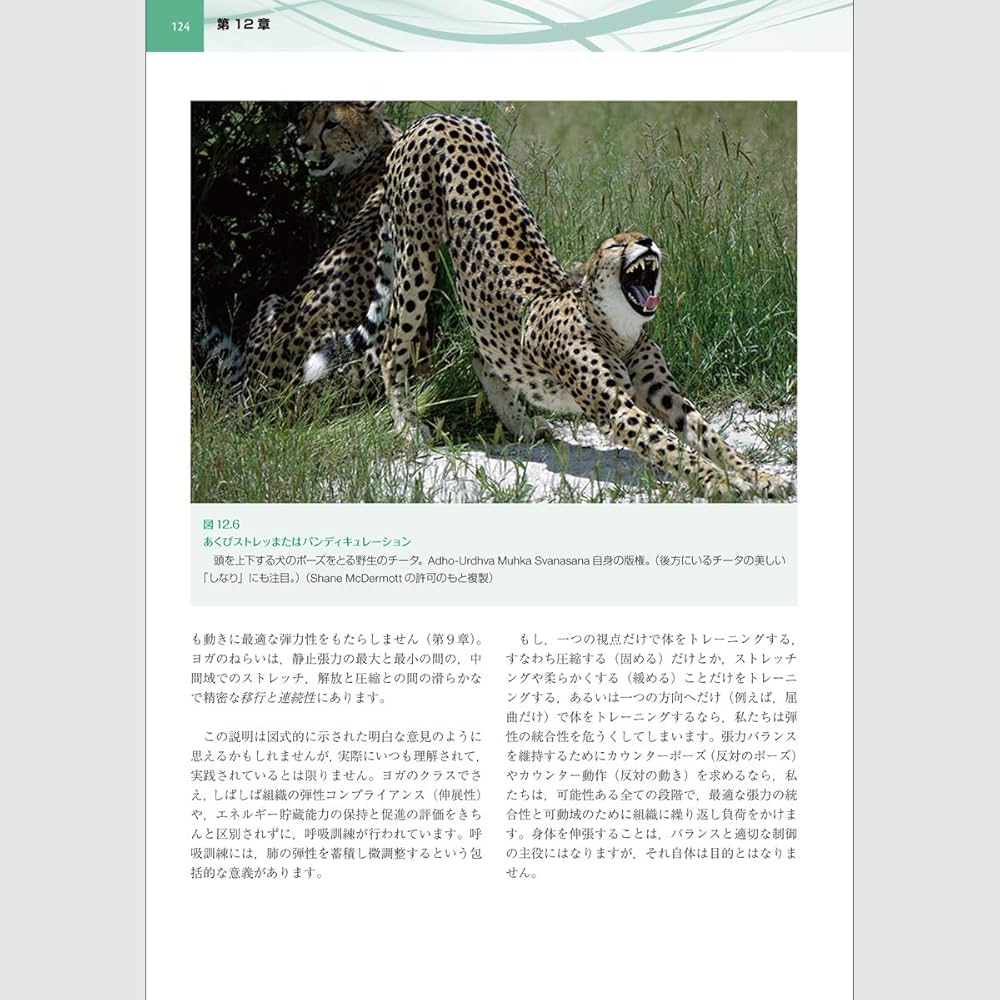 スポーツと運動の筋膜 814YWsykGpL._UF350,350_QL50_.jpg