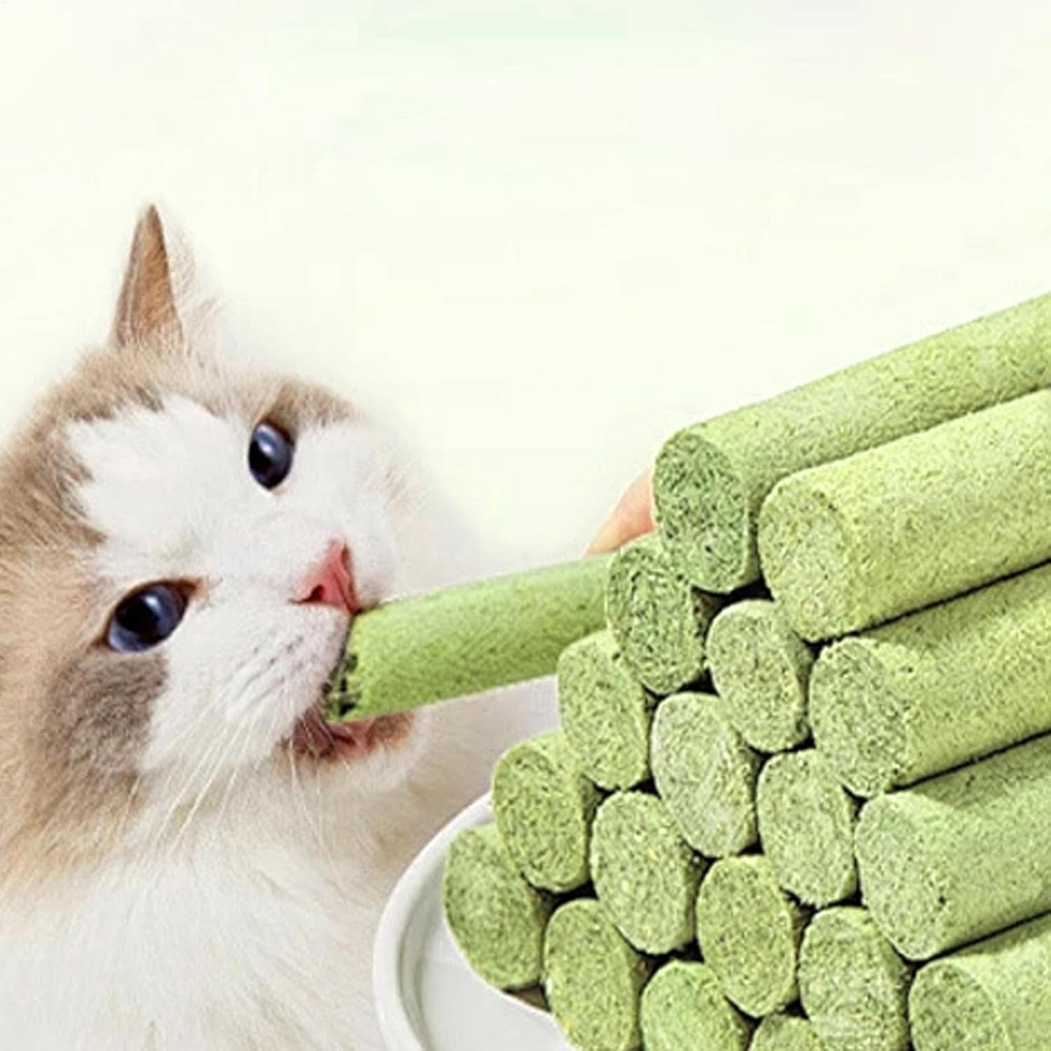 712SvIvsq7L. AC SL1500