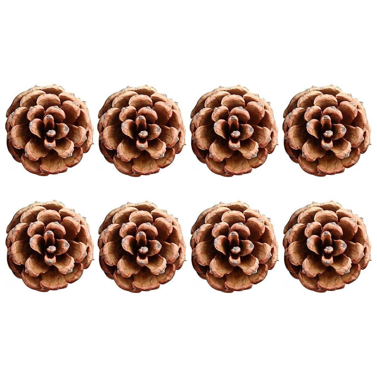 20 conos de pino natural para manualidades, mini piñas de 6 a 7 cm, adornos de piñas pequeñas naturales a granel para manualidades, árbol de Navidad, corona, relleno de jarrón, fiesta de boda