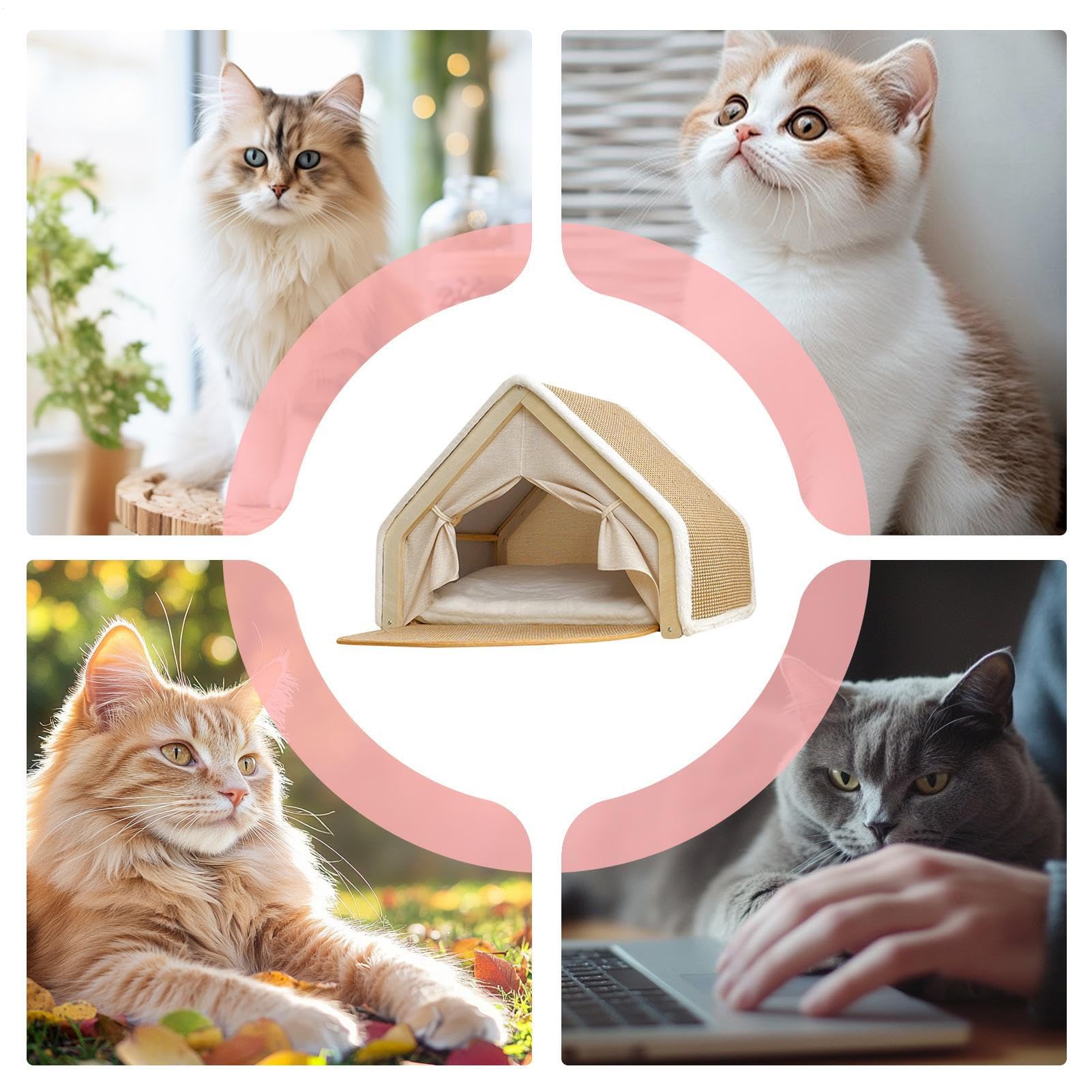 Tenda Cuccia Gatti Casa Riposo e Giochi con Tiragraffi in Sisal | Cuccia Gatti Tutte le Stagioni per Interni Casa Soggiorno Camera da Inverno