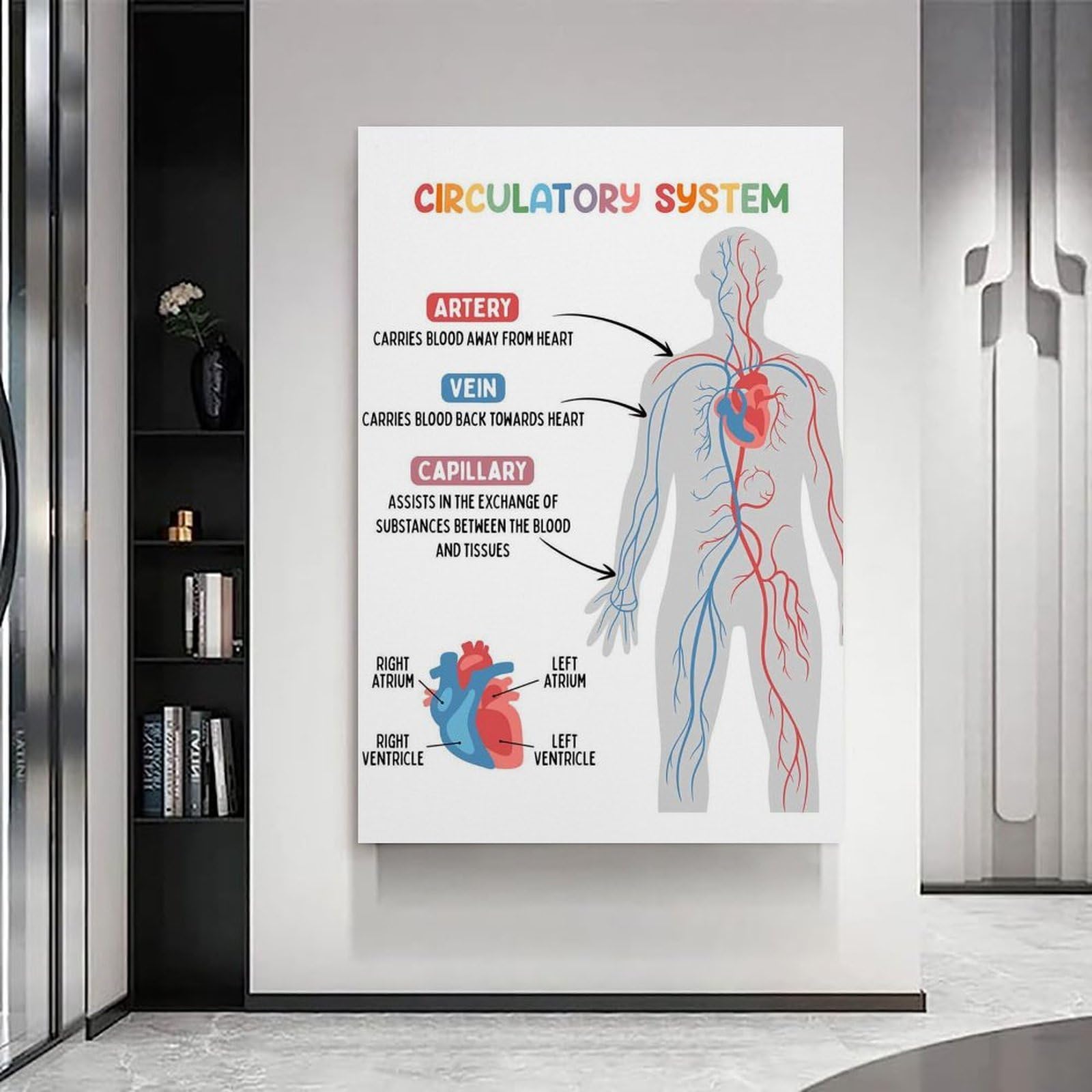 Circulatory System: nowoczesne wydruki na płótnie, dekoracyjne obrazy do pokoju chłopca lub dziewczynki, obrazy ścienne do salonu i obrazów z motywami świątecznymi, 30 x 30 cm