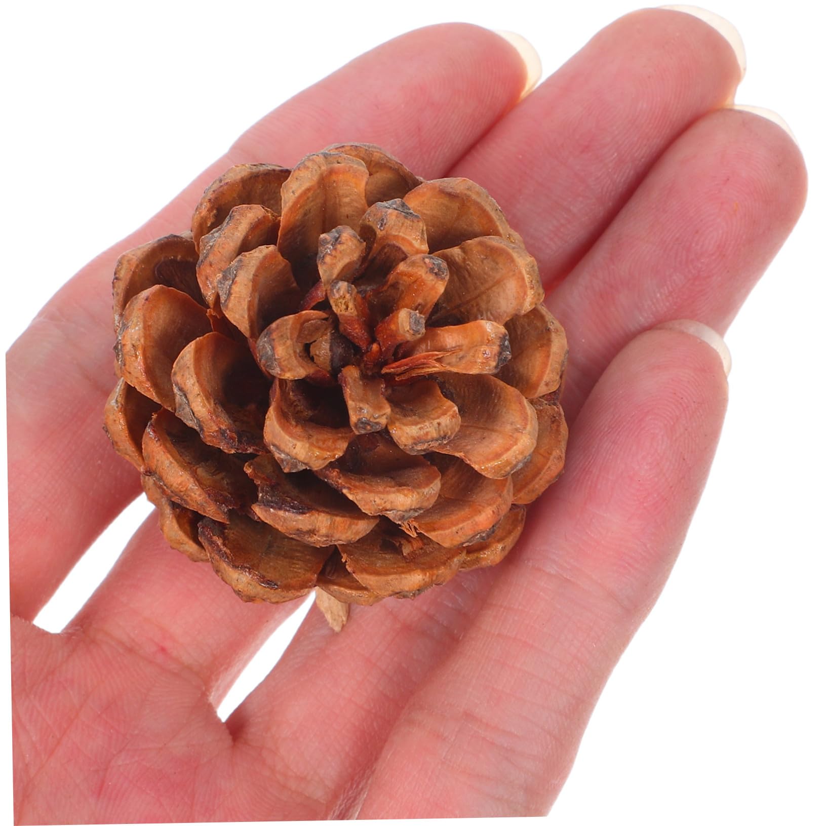 OUNONA 130 Szt Naturalne Szyszki Na Śluby Zimowe Dekoracje Ślubne Z Szyszek Mini Jesienne Szyszki Ozdoby Świąteczne Z Szyszek Wypełniacze Do Wazonów Wypełniacze Do Wazonów