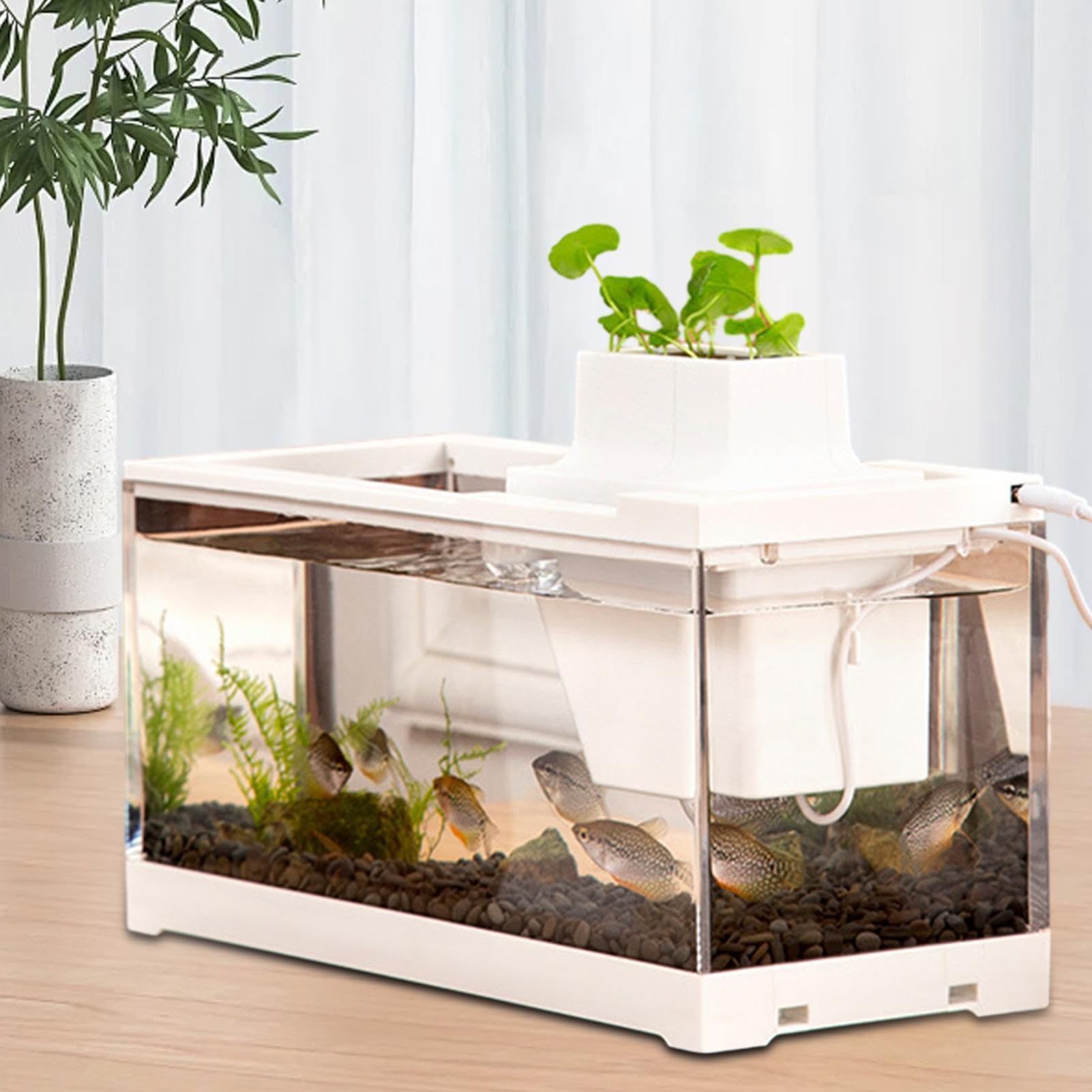 Acuario de Escritorio, pecera de Escritorio Mini Acuario pequeño, Abierto, | con bomba de agua Mini acuario para escritorios, estantes, dormitorios, salas de estar.