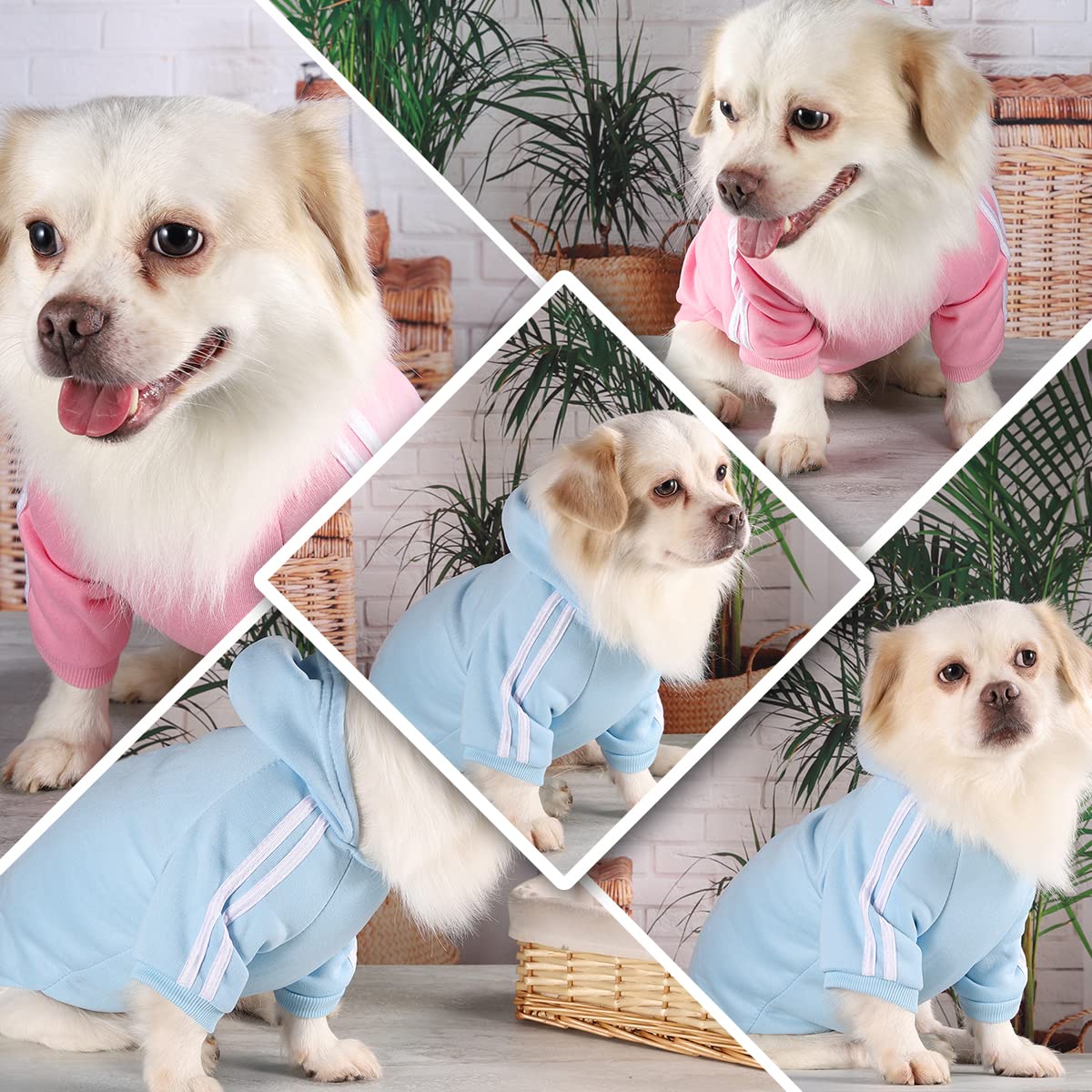 Vestito Per Chihuahua - Maglione E Giacca Invernale Per Cani Piccoli, 6 Taglie E Colori - Foto 3