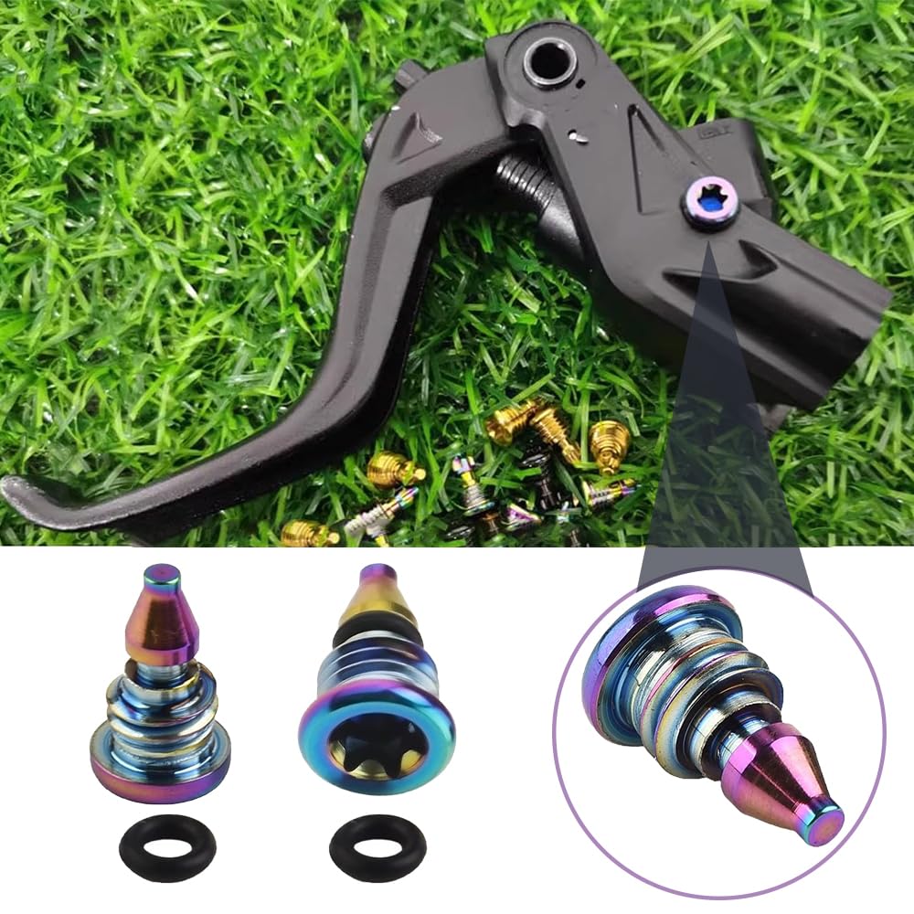2 Vis De Purge Homefantasy En Alliage De Titane – Compatibles Magura MT2/4/5/7/8, Avec Joints Toriques