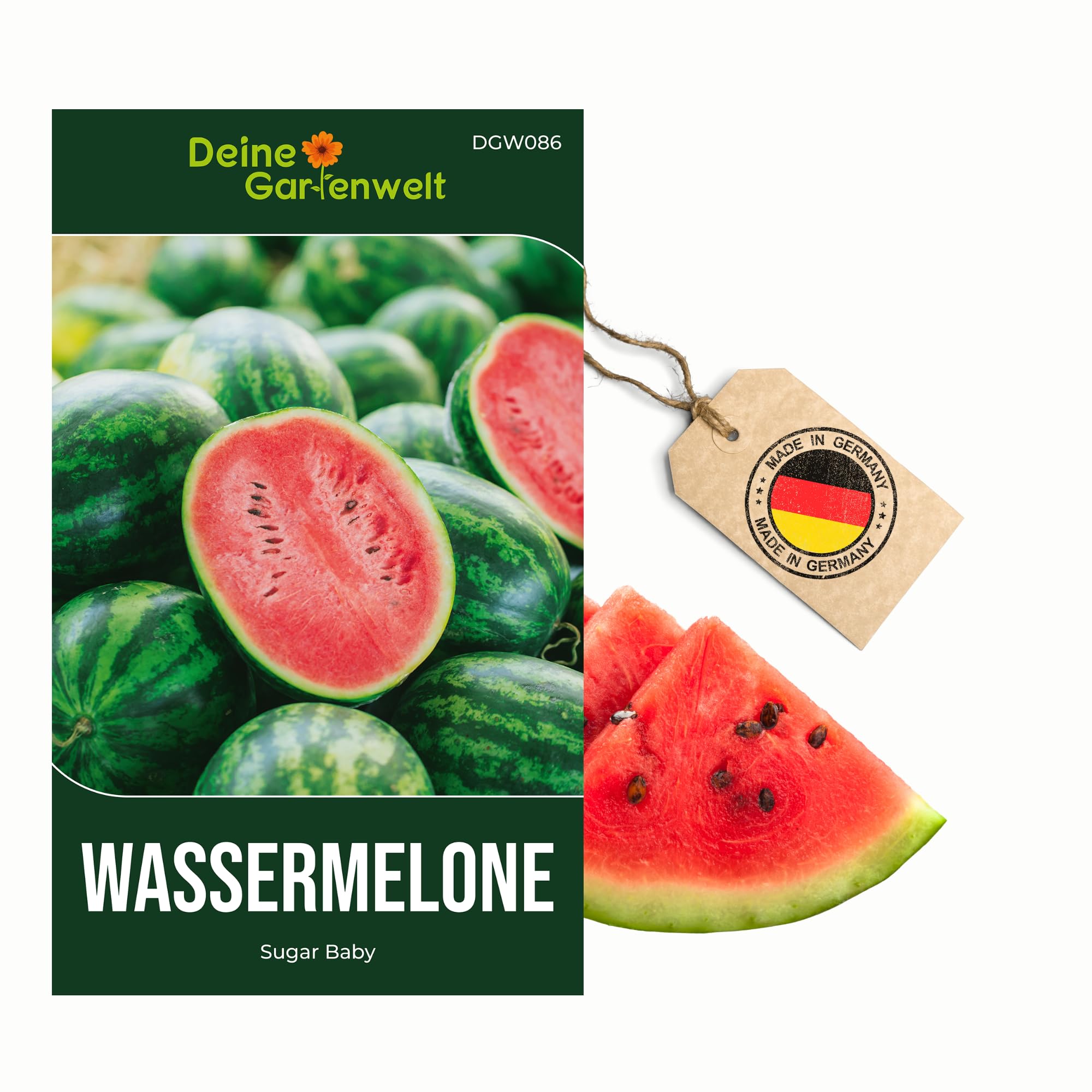 saatgut sprossen Keimsprossen Saatgut 3er Set-Gourmet