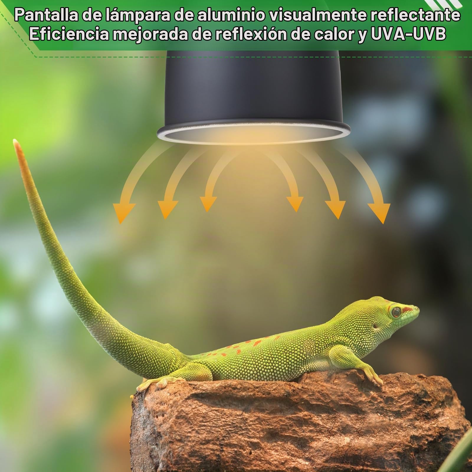 CPROSP Lámpara de Calor Con Cúpula De Reflexión óptica E27, con 1 Bombilla, Terrario Reptiles de Calor Lámpara con Clip para Colgar, para Tortuga, Lampara de Reptiles y Anfibios