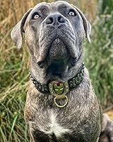 Vista 5 de Bestia Iron Man - Collar de cuero para perros grandes, razas grandes