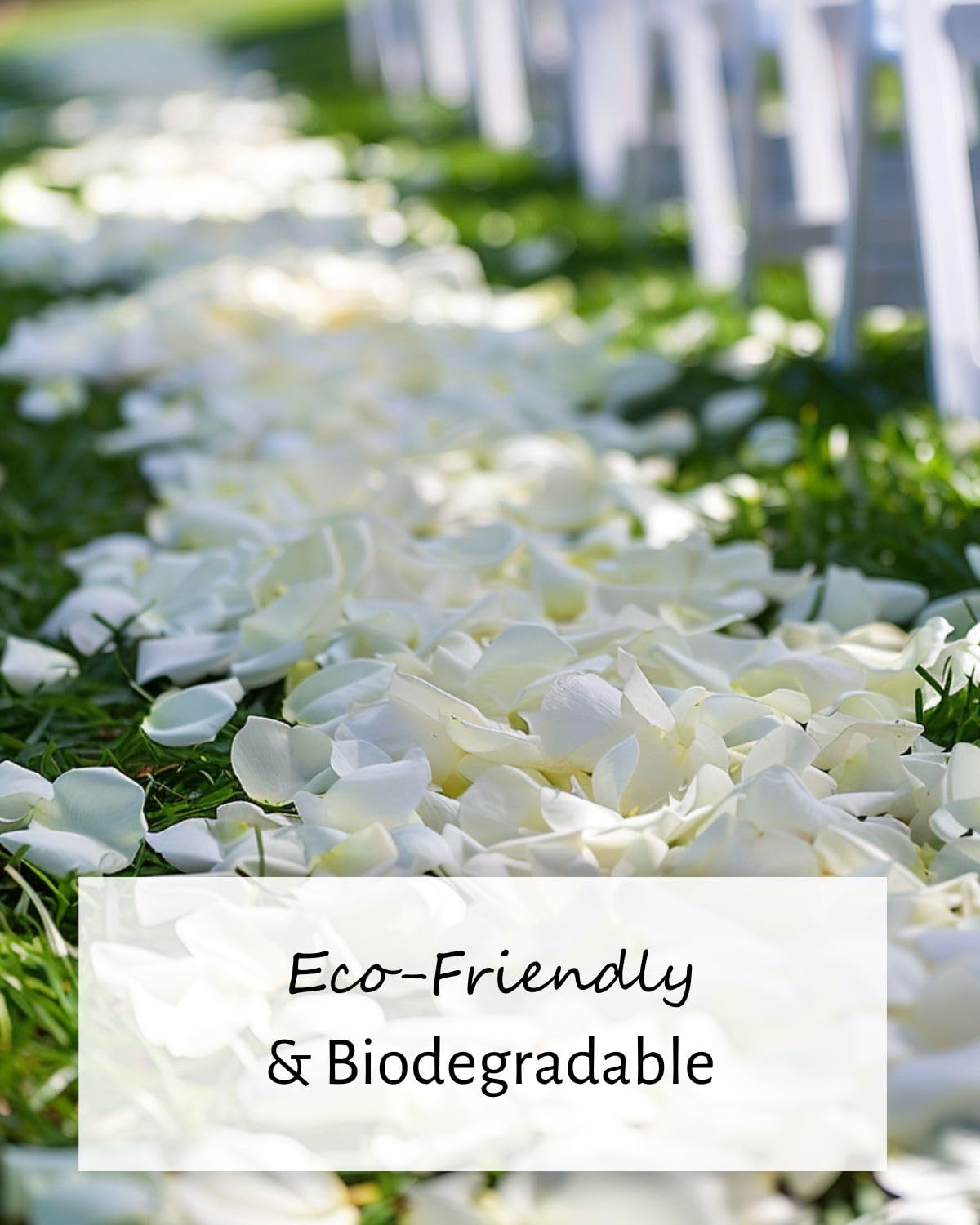 3.5 Oz Dried Rose Petals Wedding Biodegradable Petals, Natural Preservation Real Flower Petals, Suitable For Flower Petals For Flower Girl, Romantic Night, Table Decoration (White Pink, 100g - View #5