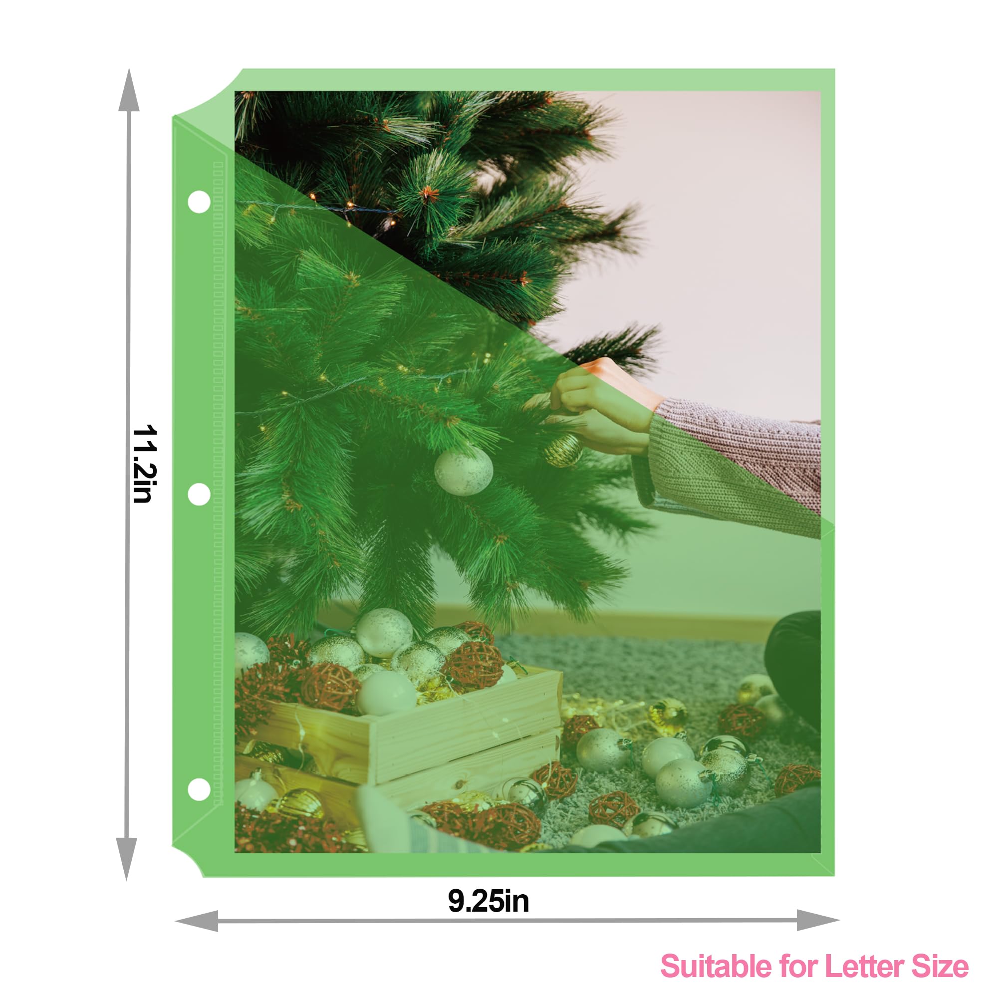 Seashell Funda de polietileno translúcido para archivos, 3 agujeros, tamaño carta, colores surtidos, fundas de plástico para carpetas, paquete de 25