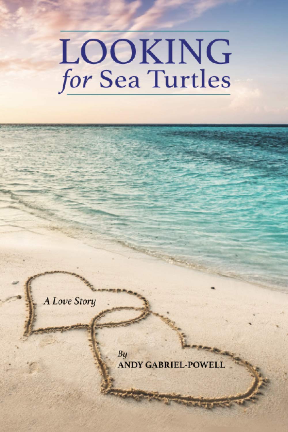 Looking for Sea Turtles