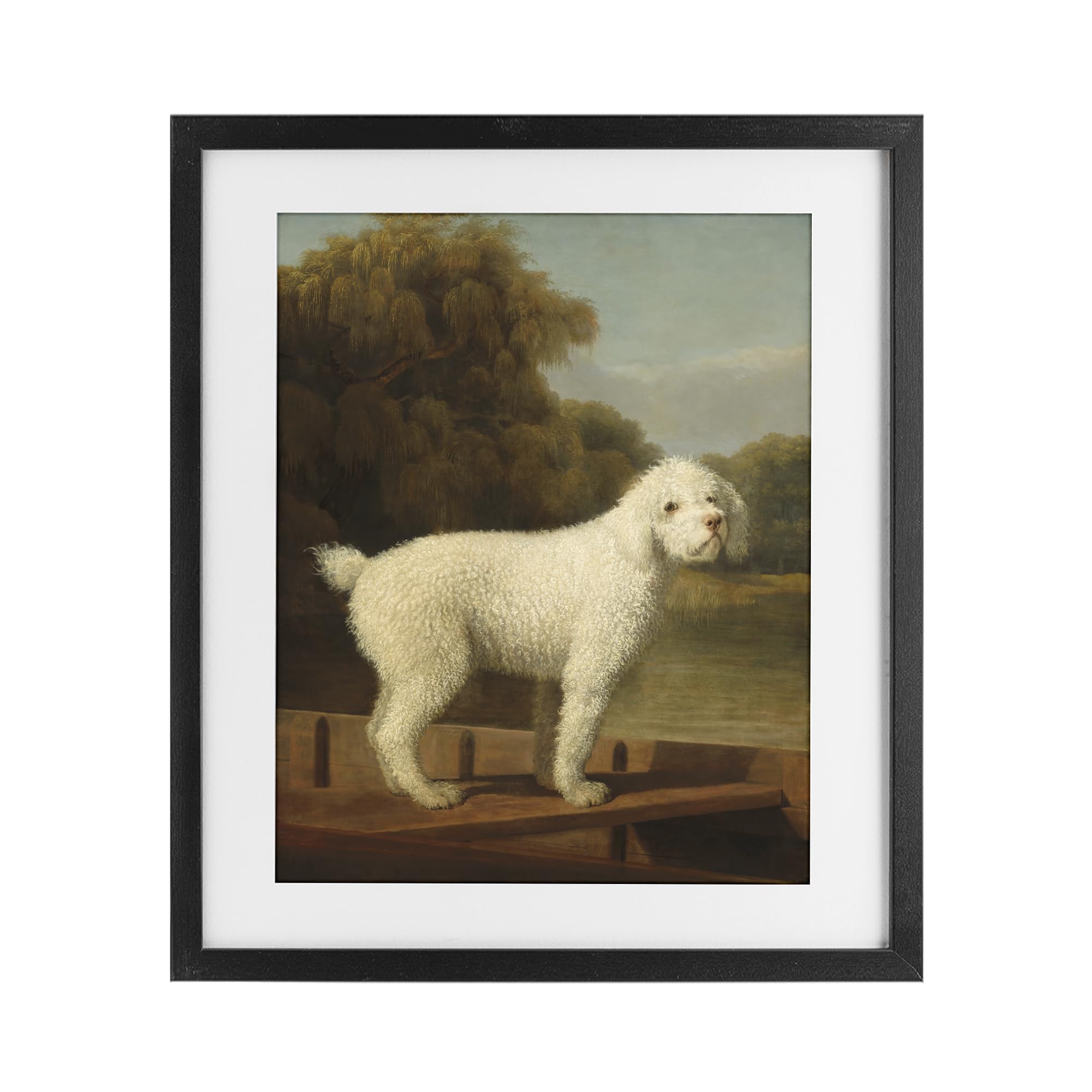 Stupell Industries Midnight Black (Textured) 'White Poodle In A Punt'| Framed Print Under Glass