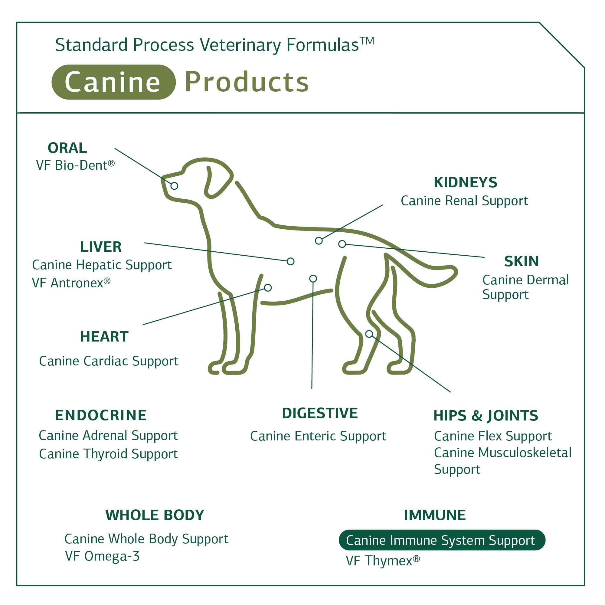 standard process dog vitamins