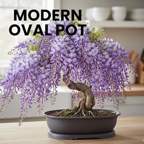 Vista 5 de CZ Grain Macetas ovaladas para bonsái de 14 pulgadas y bandeja de goteo, macetas resistentes (1 maceta)