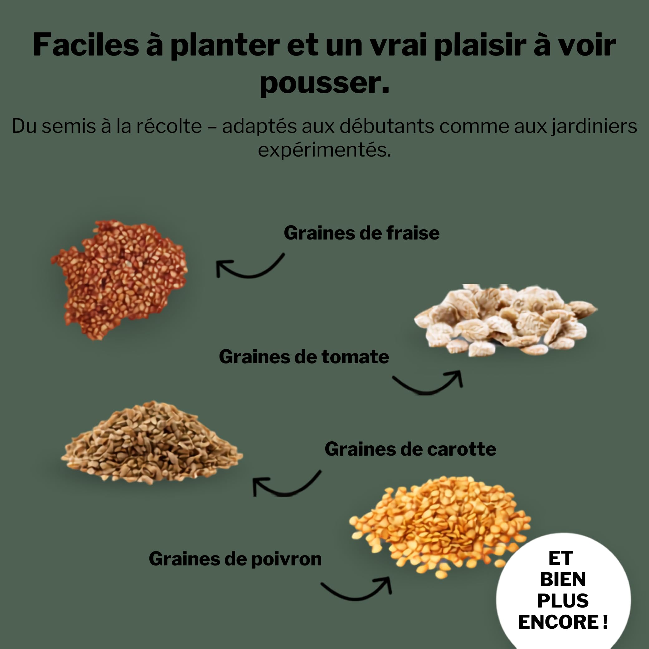 BOXILAND® Calendrier de l'Avent Graines 2026 légumes herbes fruits fleurs