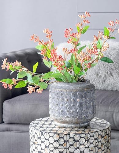 Miniatura 6 de T2 Concept 100% terracota Southern Living Collection Noam maceta envejecida vintage aspecto dramático para interiores o exteriores, sin agujero