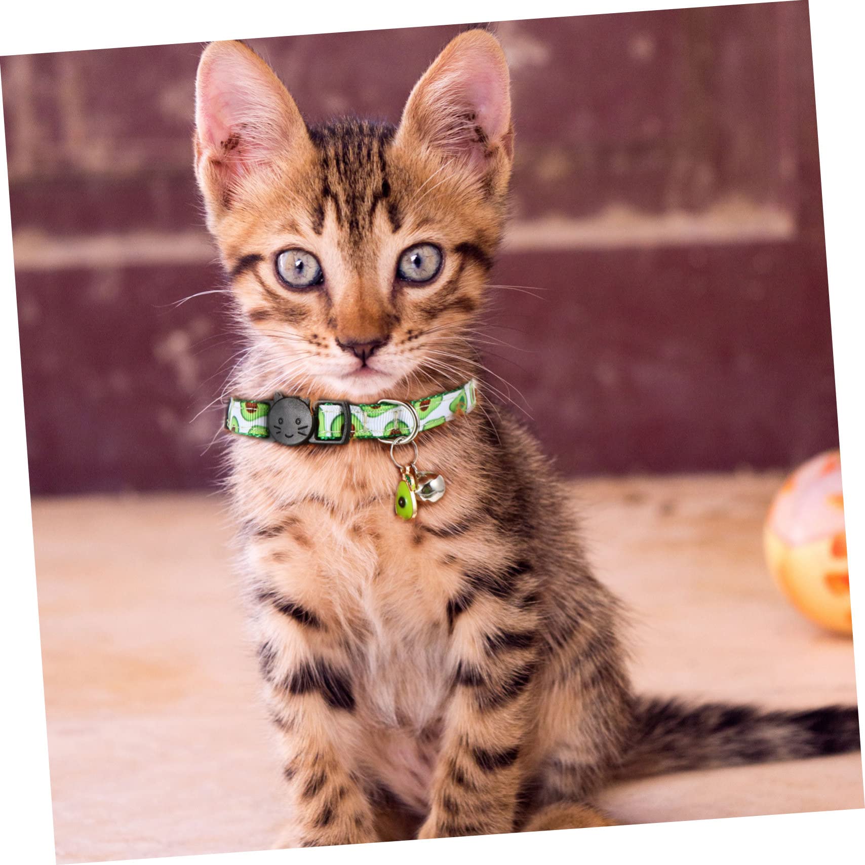 Sosoport 12 Pezzi Collare Per Animali Domestici Con Collari Con Campanello Materiale Comodo Per Gatti