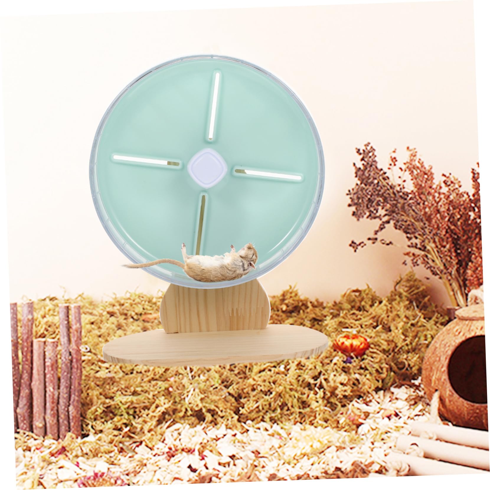 ibasenice 1 Ensemble Roue de Course Silencieuse pour Hamsters Petits Animaux Support Stable Design Décoratif