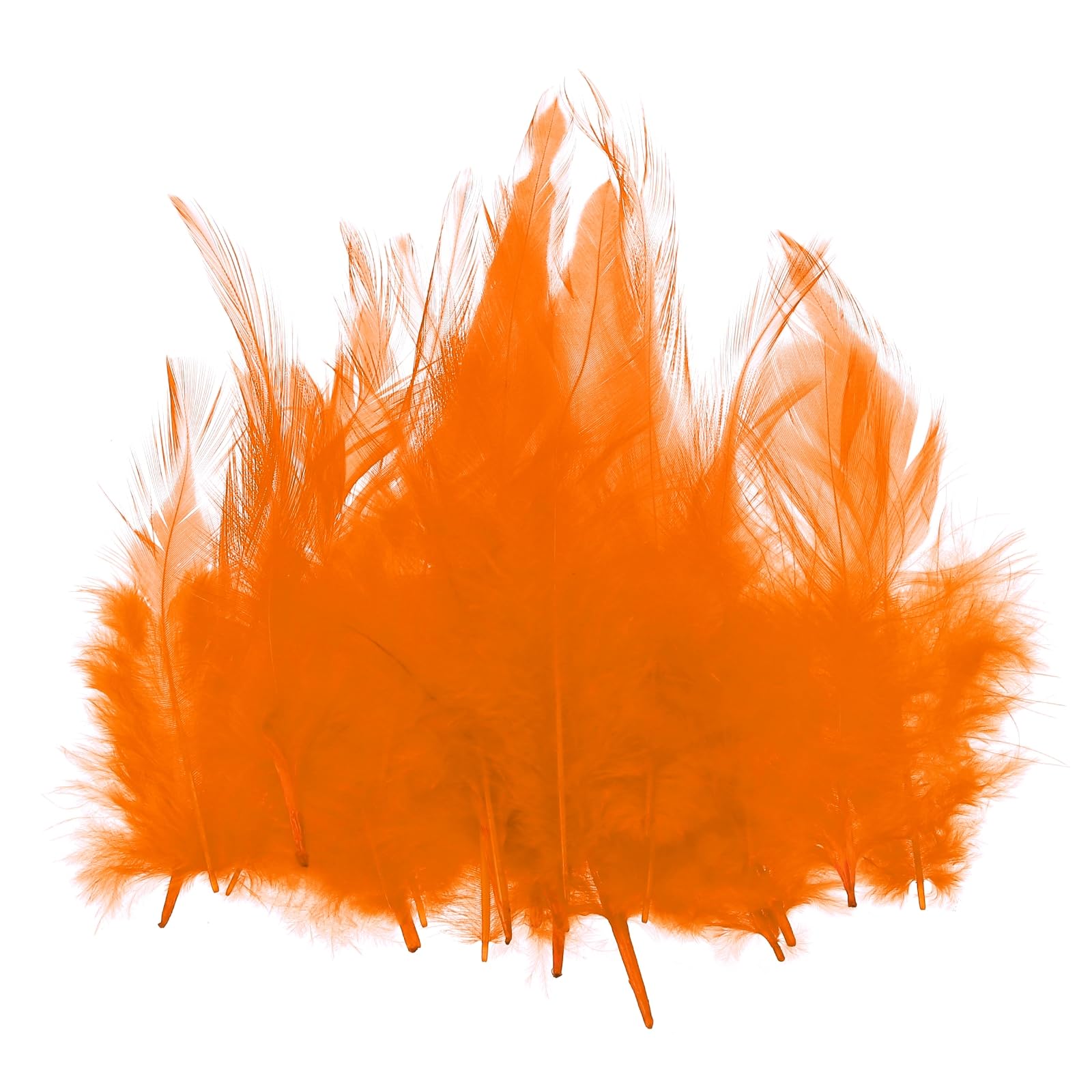 PATIKIL 3-5 Inch Rooster Feathers