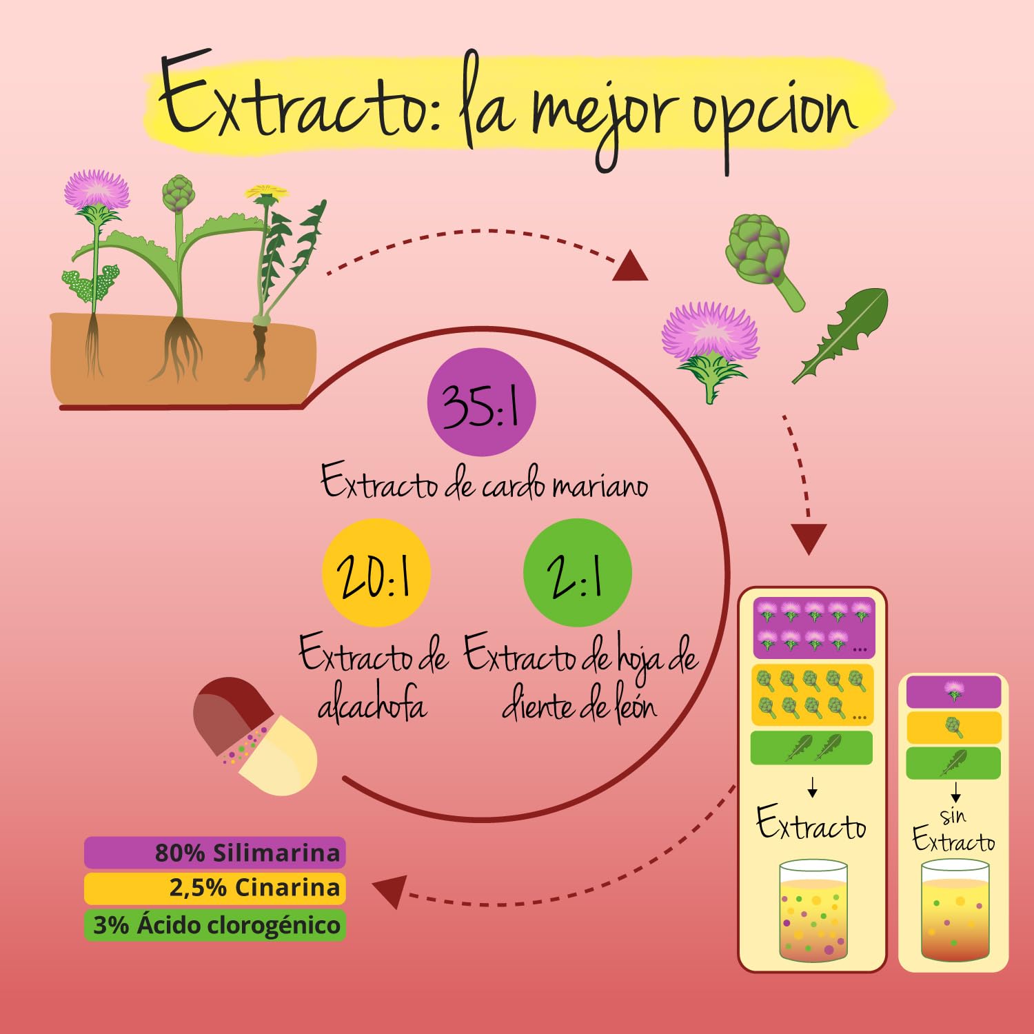 Cardo Mariano + Alcachofa + Diente de León | 120 Cápsulas | ALTA DOSIS con 80% Silimarina | DETOX HIGADO | Vegano & Sin Aditivos | Vegavero