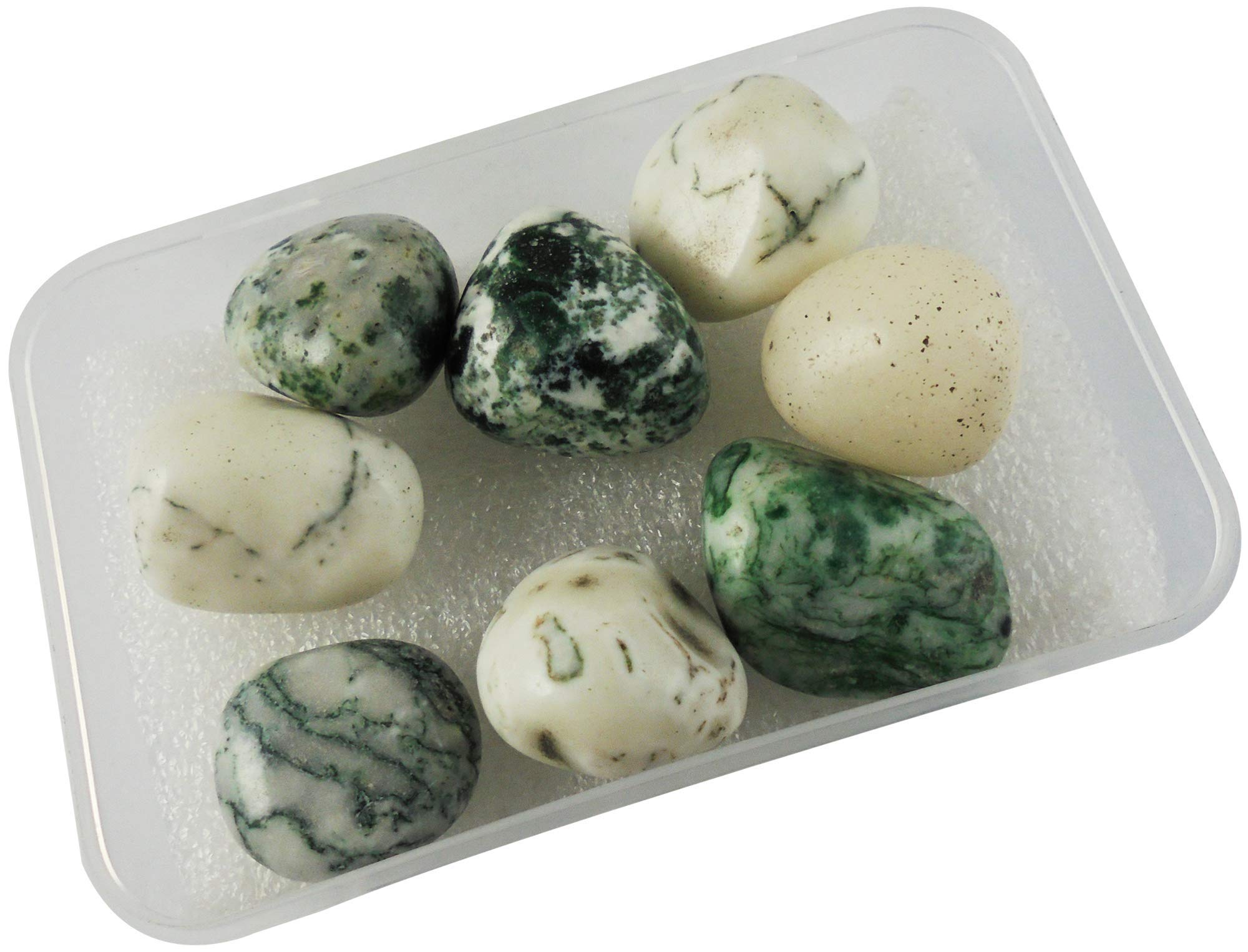eshoppee 100 gm Tree Agate Stone Tumble Gemstone Tumble (B07KYHW2DB) Amazon Price History, Amazon Price Tracker