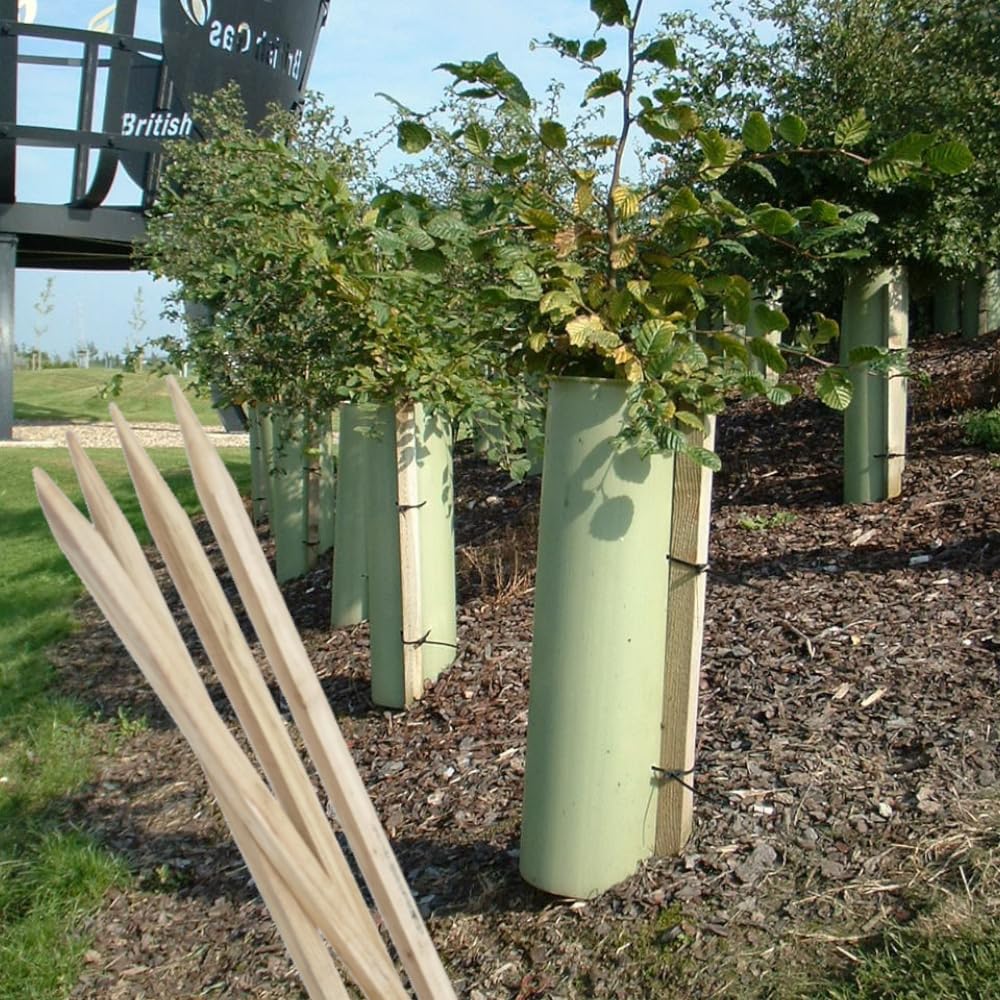 Lot de 25 piquets en bois dur - 150 cm - Tuteurs en chêne - Poteaux en bois de chêne pointus