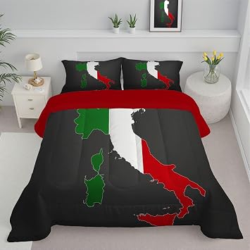 Dark Gray Bed Comforter Set Twin Size 3 Pieces Italian Flag Map Printed Bedding Set for All Seasons Simple Illustration Soft Microfiber Comforter Sets with 2 Pillocases