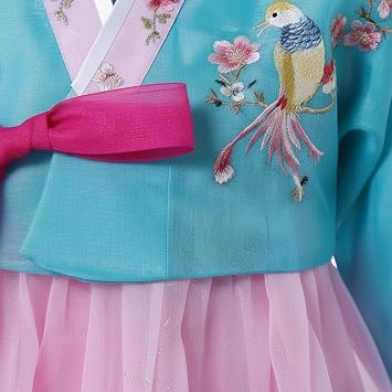 Women's Embroidered Hanbok Dress Korean Traditional Costume Short Full Skirt Cosplay Performance Wear