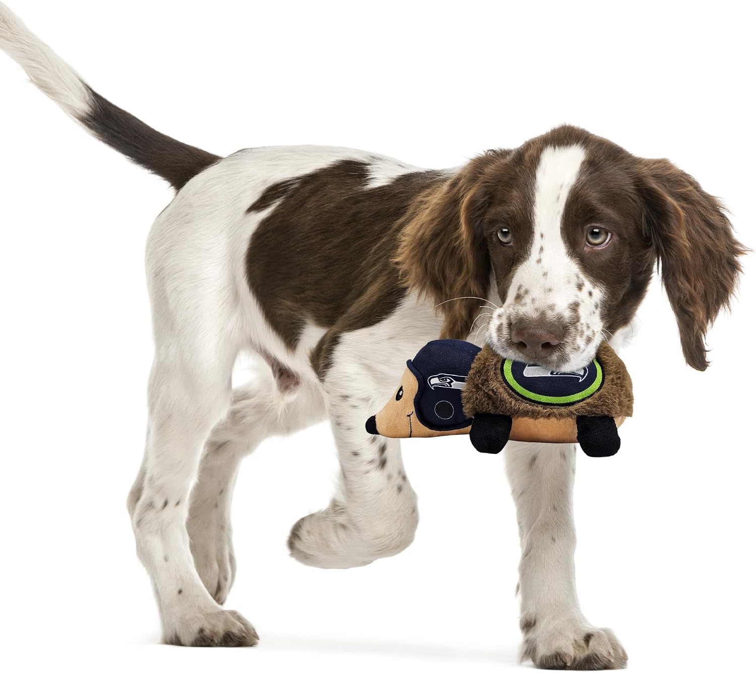 NFL Seattle Seahawks Plush Hedgehog Toy for Dogs & Cats, Cool Soft Pet Toy for Fun and Interactive Play, Dog Chew Toy with Squeaker, Licensed Hot Pet Toy image 5