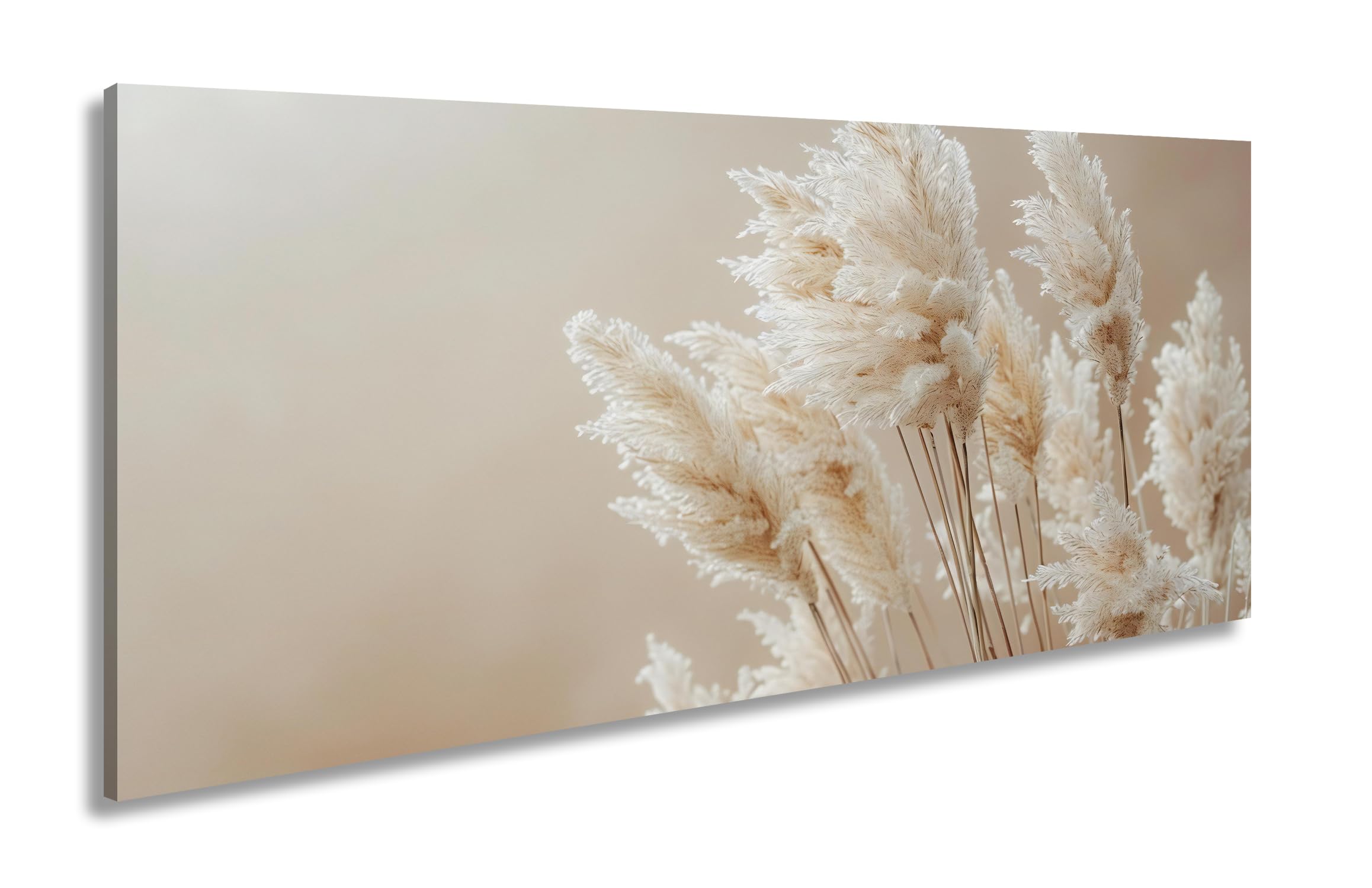 Leinwandbild Zartes Pampasgras – flüsternd im Hauch der Stille. Panorama 120x60cm XXL Kunstdruck Bild auf Keilrahmen/Wandbild/Wohnzimmer Dekoration