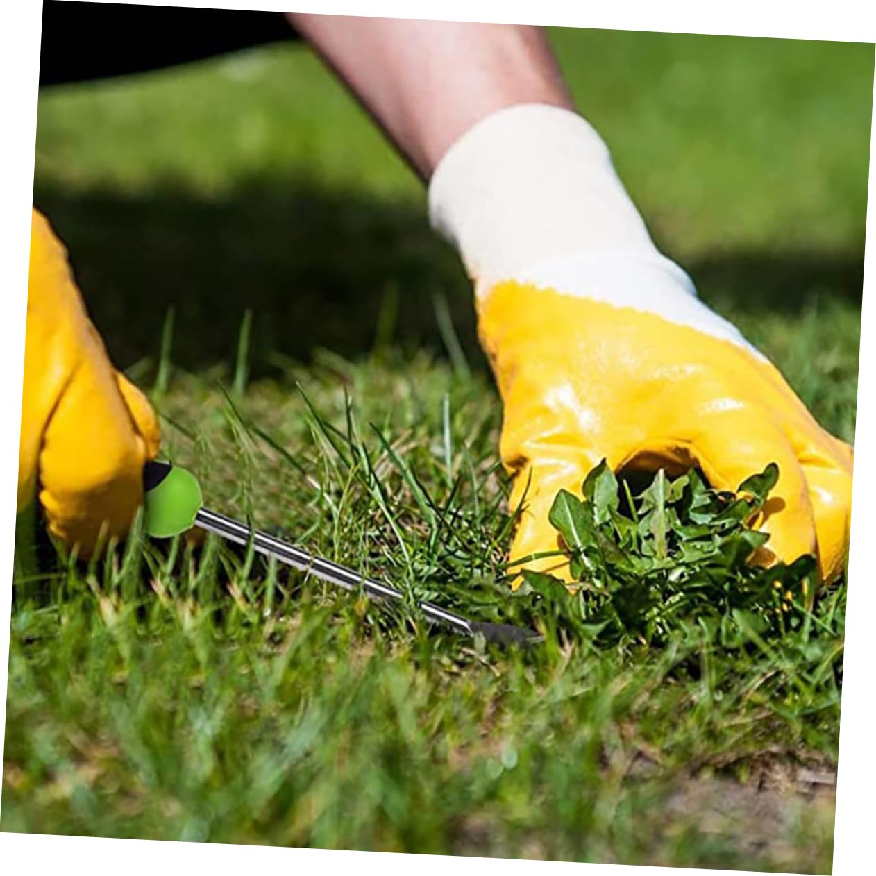 3 Pezzi di Strumenti per Diserbo Sradicamento Rimozione dell' Estrattore Sarchiatore Attrezzi da Giardinaggio Coltivatore Attrezzo da Giardino Strumenti per La