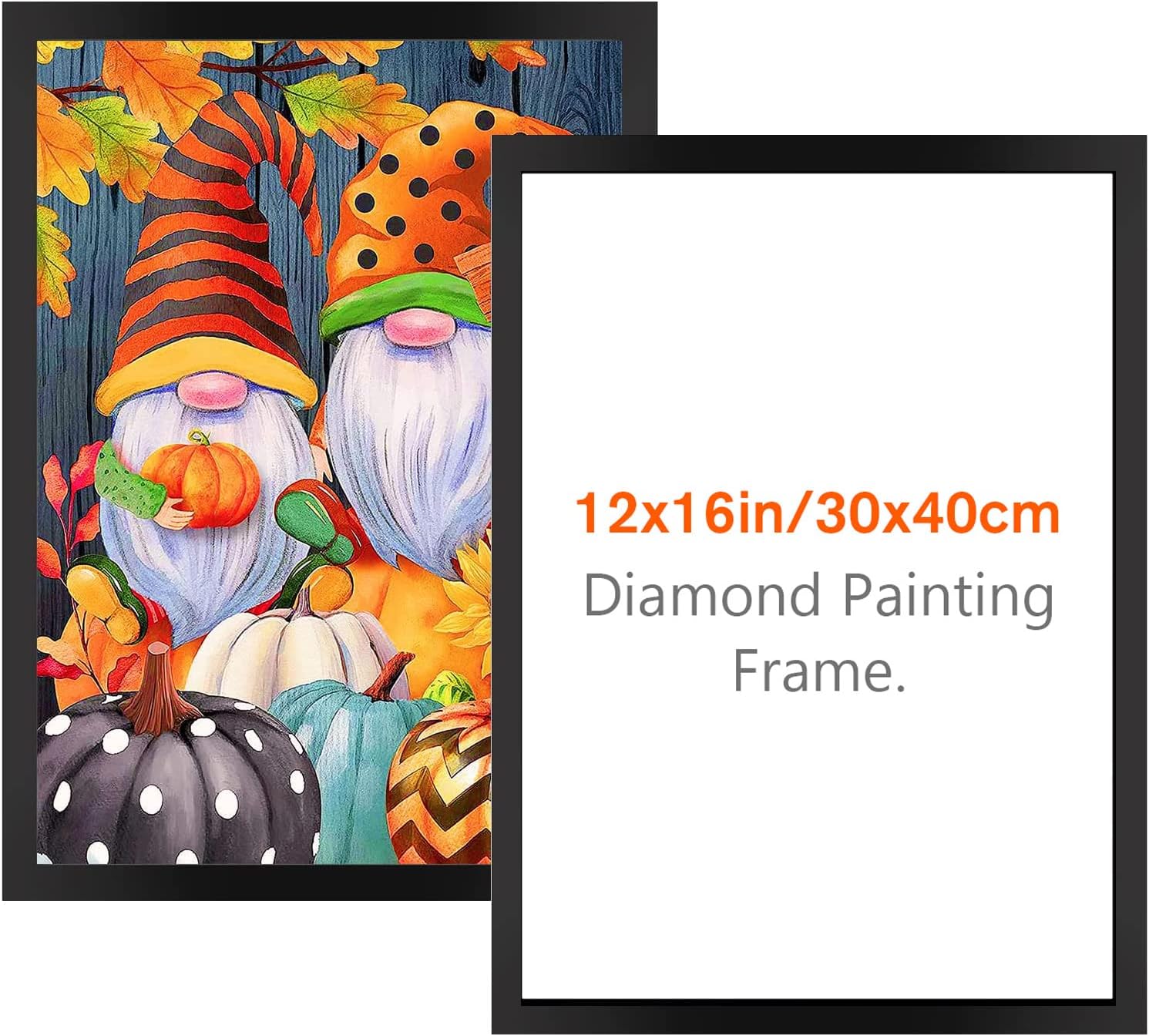 VINDIJA Diamond Painting Frames, Poster Frames for 12x16 Inch Diamond Painting, Magnetic Diamond Art Frame for Diamond Painting Kits & Diamond Art Black 1 Pack