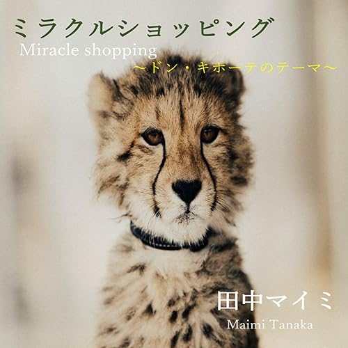 Amazon Music 田中マイミのミラクルショッピング ドン キホーテのテーマ Amazon Co Jp
