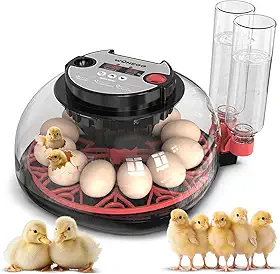 Chocadeira Para 12 Ovos, Viradora Automática Com Controle De Temperatura E Umidade, Chocadeira, Alarme Baixo, Frango, Pato, Peru, Ganso