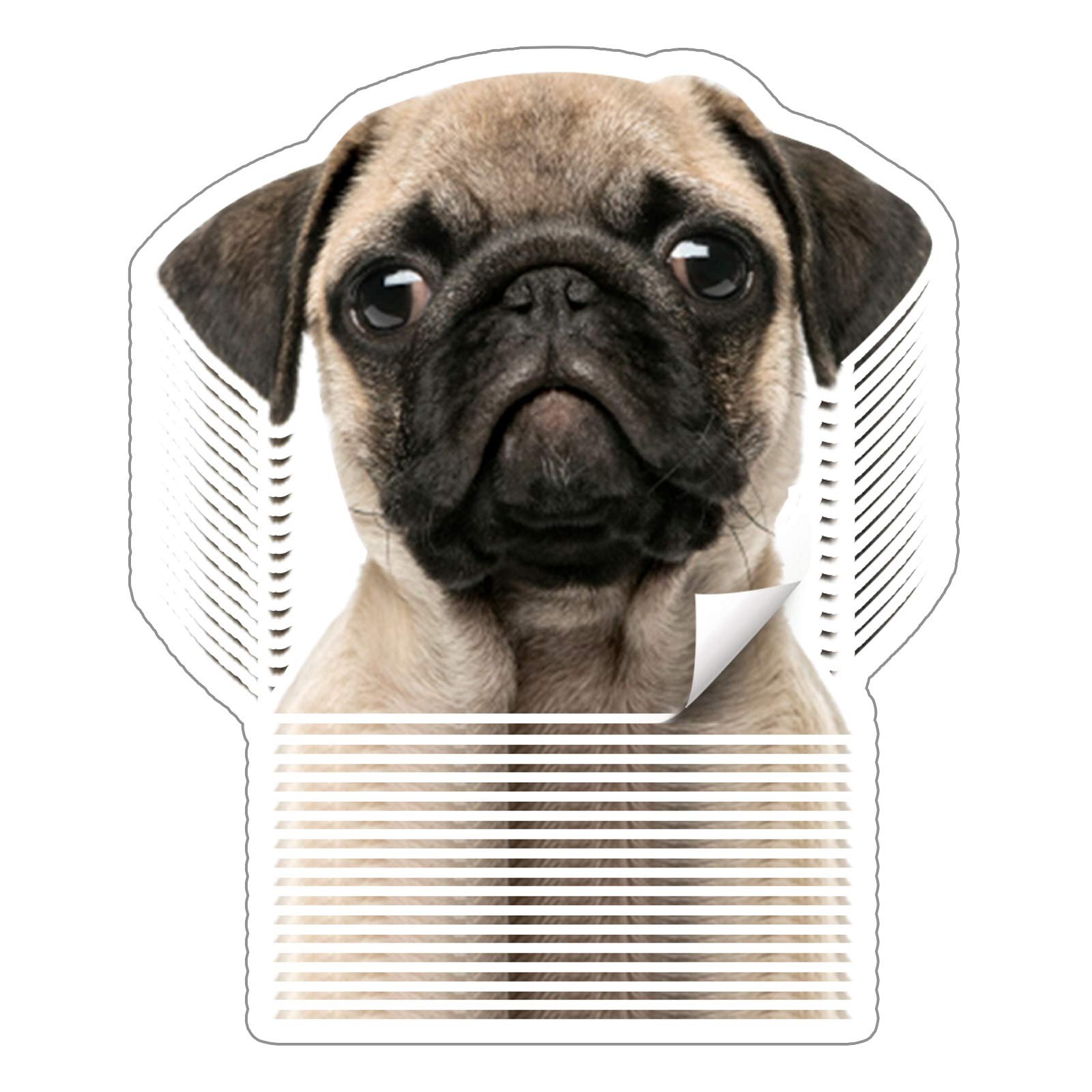 100 Custom Personalised Stickers Labels Die Cut Any Logo Text Image Tag for Business,Customszed 3x3 Inches Business Logo Stickers