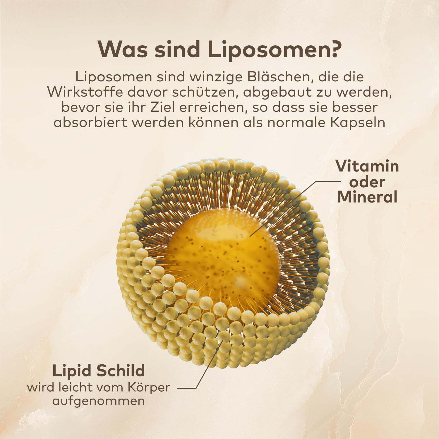 Liposomales Vitamin D3 – 90 Kapseln - 3er-Pack - Vitamin D für Immunsystem und Knochen - Hoch Bioverfügbares Vitamin D3 - GMP zertifiziert Qualitätssystem