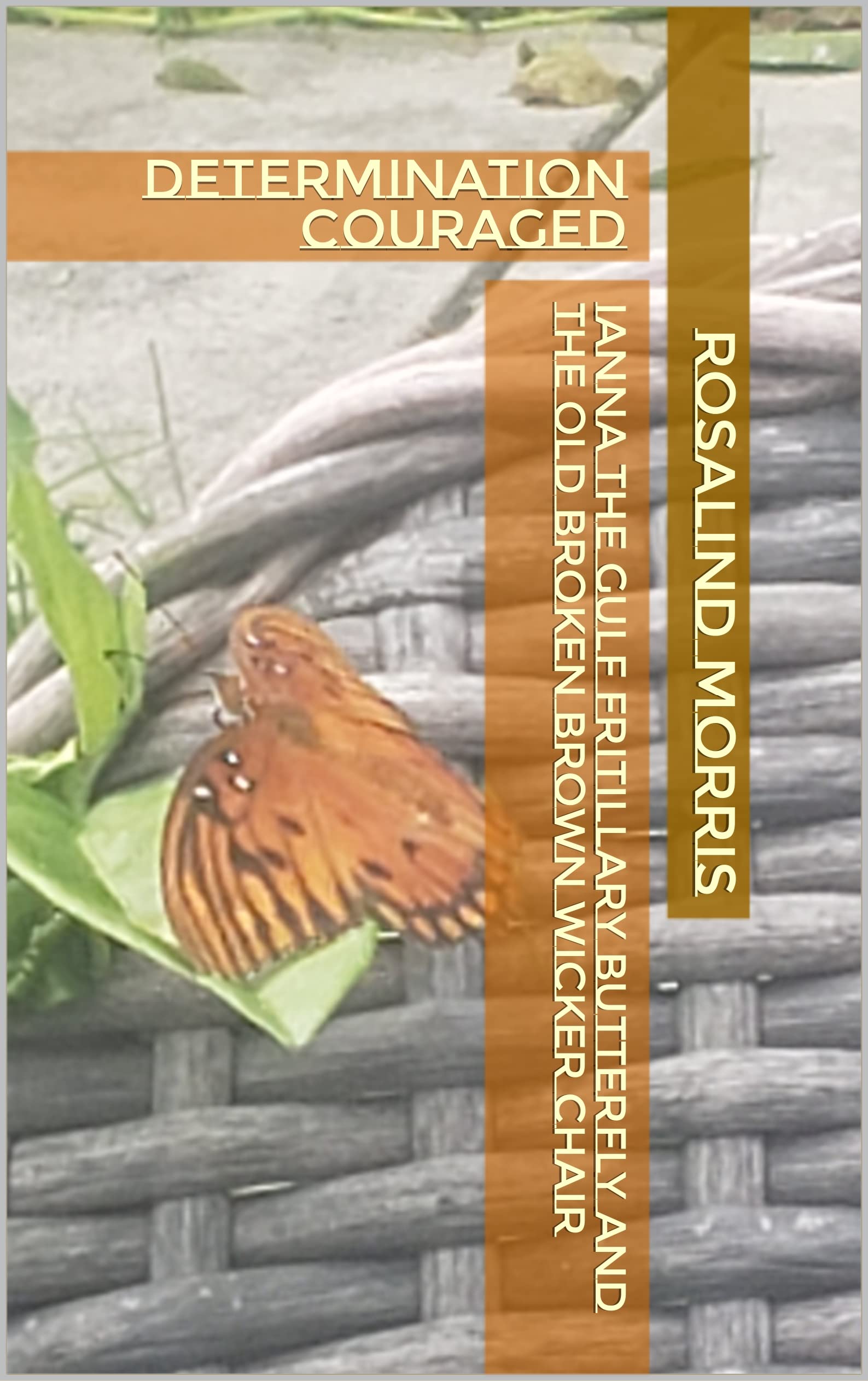 IANNA THE GULF FRITILLARY BUTTERFLY AND THE OLD BROKEN BROWN WICKER CHAIR (ROSSIE'S OLD BROWN BROKEN WOODEN WICKER CHAIR Book 2)