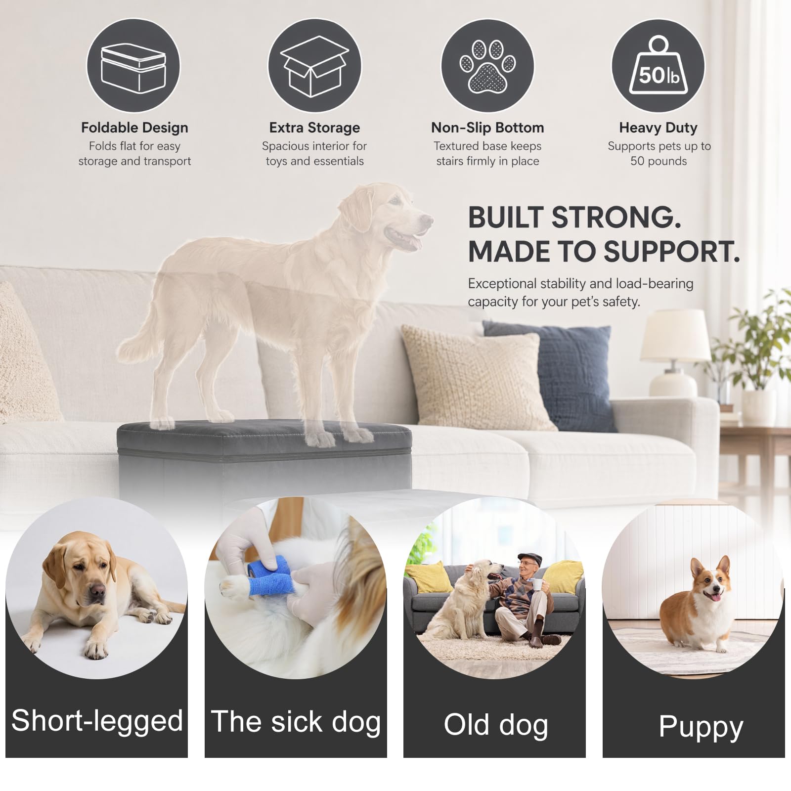 Hundetreppe mit Stauraum, faltbar, 3 Stufen, rutschfeste breite Hunderampe, Haustiertreppe für Bett und Sofa, Haustierleiter für kleine & große Hunde & Katzen (75 × 40 × 30 cm)