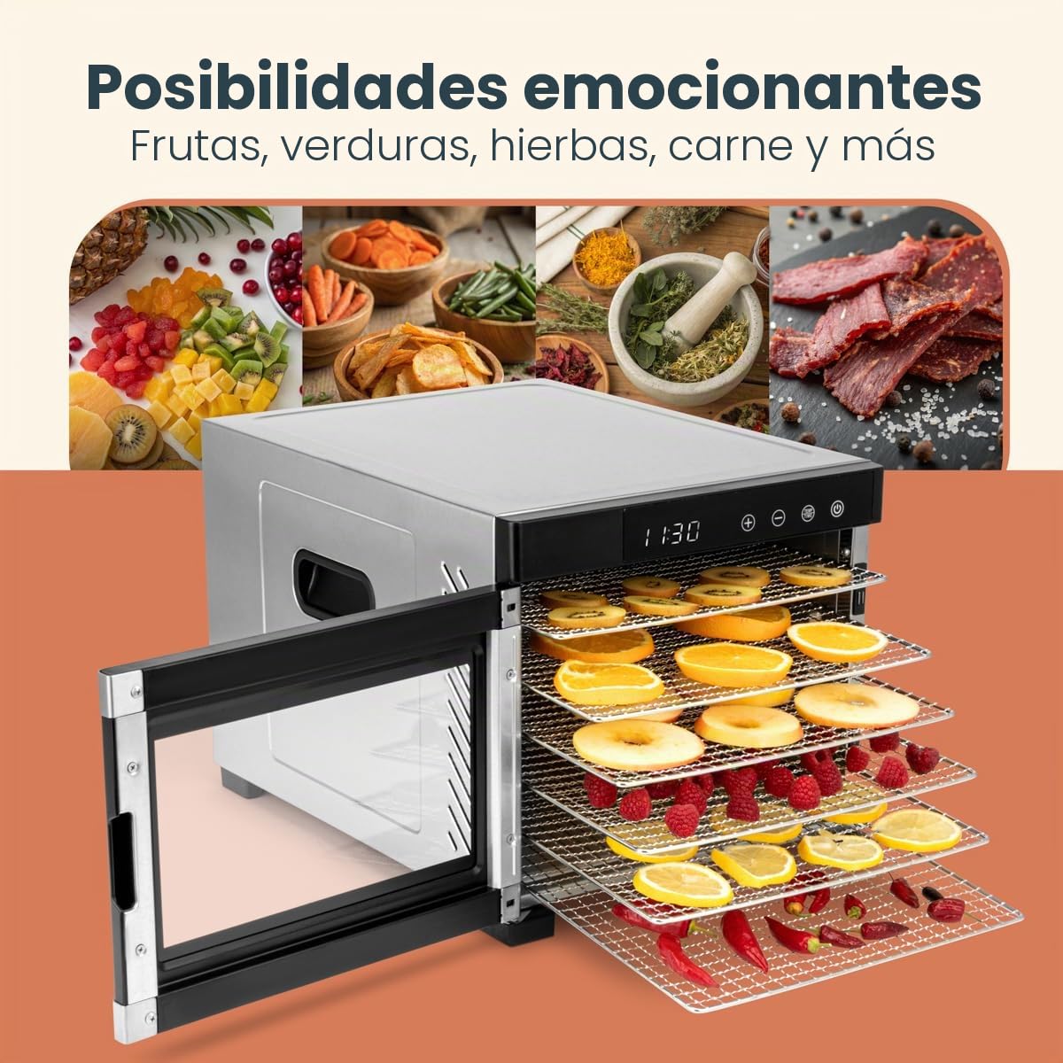 Proficook PC-DR1218 Deshidratador de Alimentos, 6 Bandejas Acero Inoxidable, Temperatura Ajustable 35-75°C, Temporizador 30 min - 24 h, Seca Frutas, Verduras, Carne, Hierbas