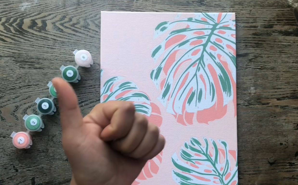 Dpng con numer, kt per pttura su tela, pttura d cactus