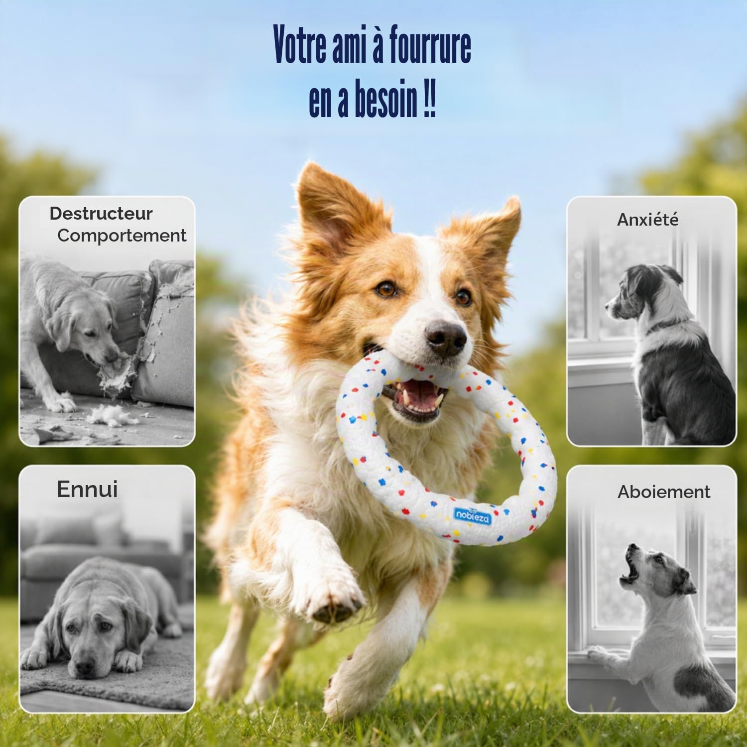 Nobleza 2 Pcs Frisbee pour Chien, Disque Volant Résistant aux Morsures avec Poignée de Traction, Jouet Interactif pour Grand Chien et Chiot, Jeu de Rapport Extérieur et Entraînement Eau, Φ23cm