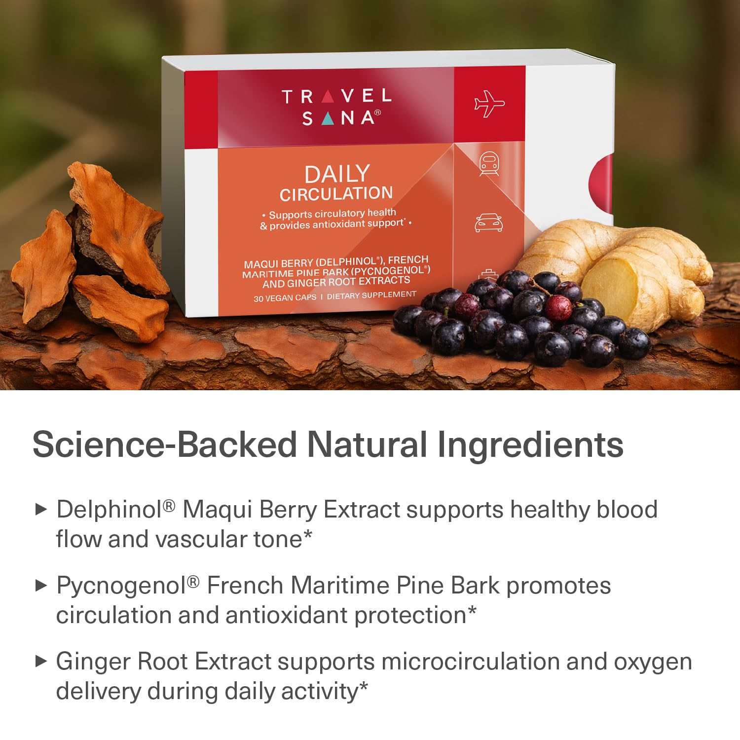 Daily Circulation | Super Antioxidants Supplement & Daily Circulatory Support | Maqui Berry (Delphinol), French Maritime Pine Bark (Pycnogenol), Ginger Root Extracts | 30 Servings — Amazon image 3