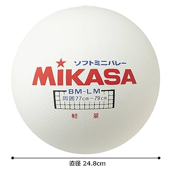 Amazon | ミカサ(MIKASA) ソフトミニバレーボール (大) 円周78cm