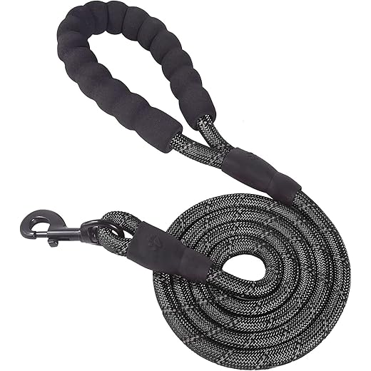 Neville Premium Dog Collar Leash 5ft Black