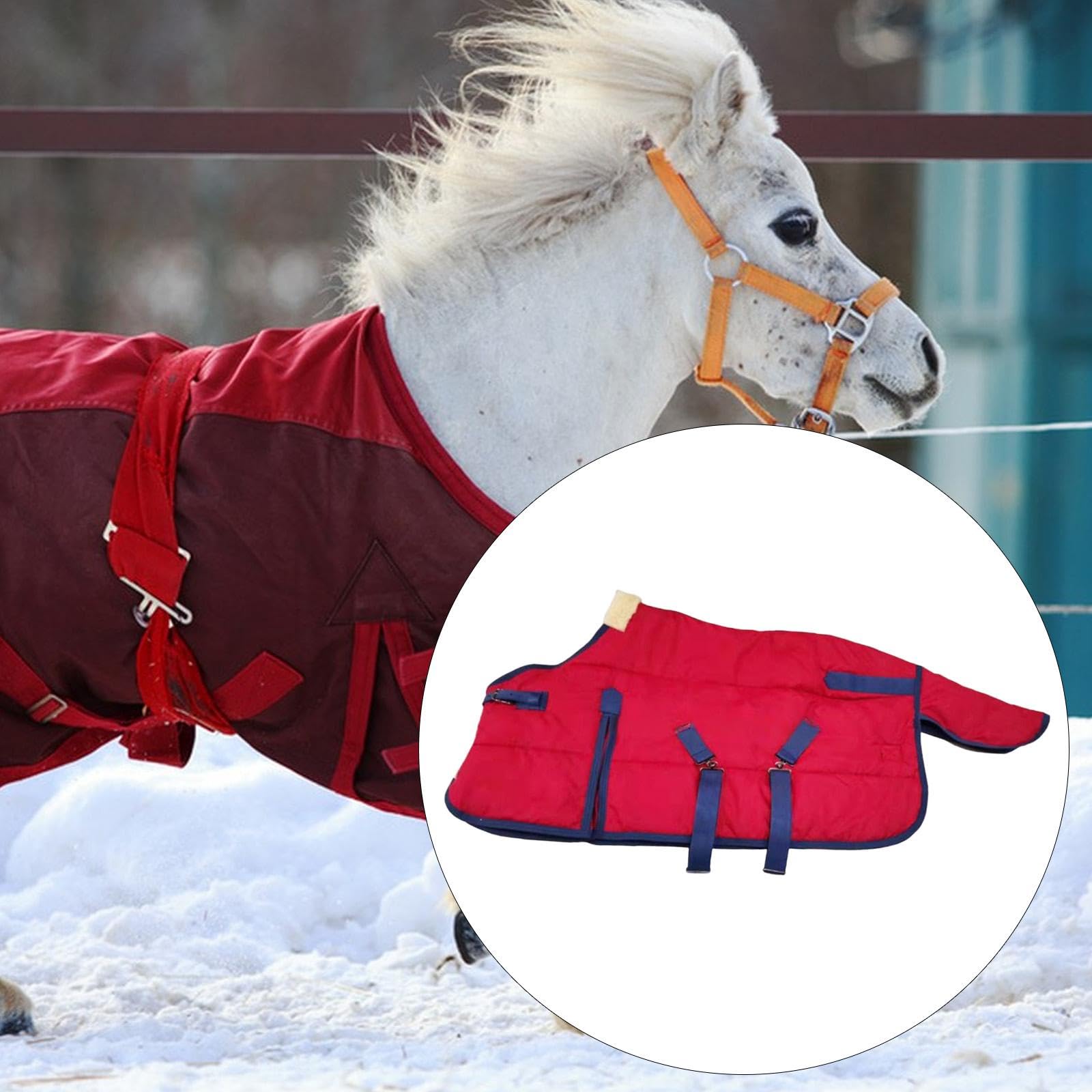 Qianly Manta para Caballo Ropa de Invierno Impermeable Transpirable Protección Térmica en Tela Oxford Adecuada para Actividades Al Aire Libre Y Entrenamiento
