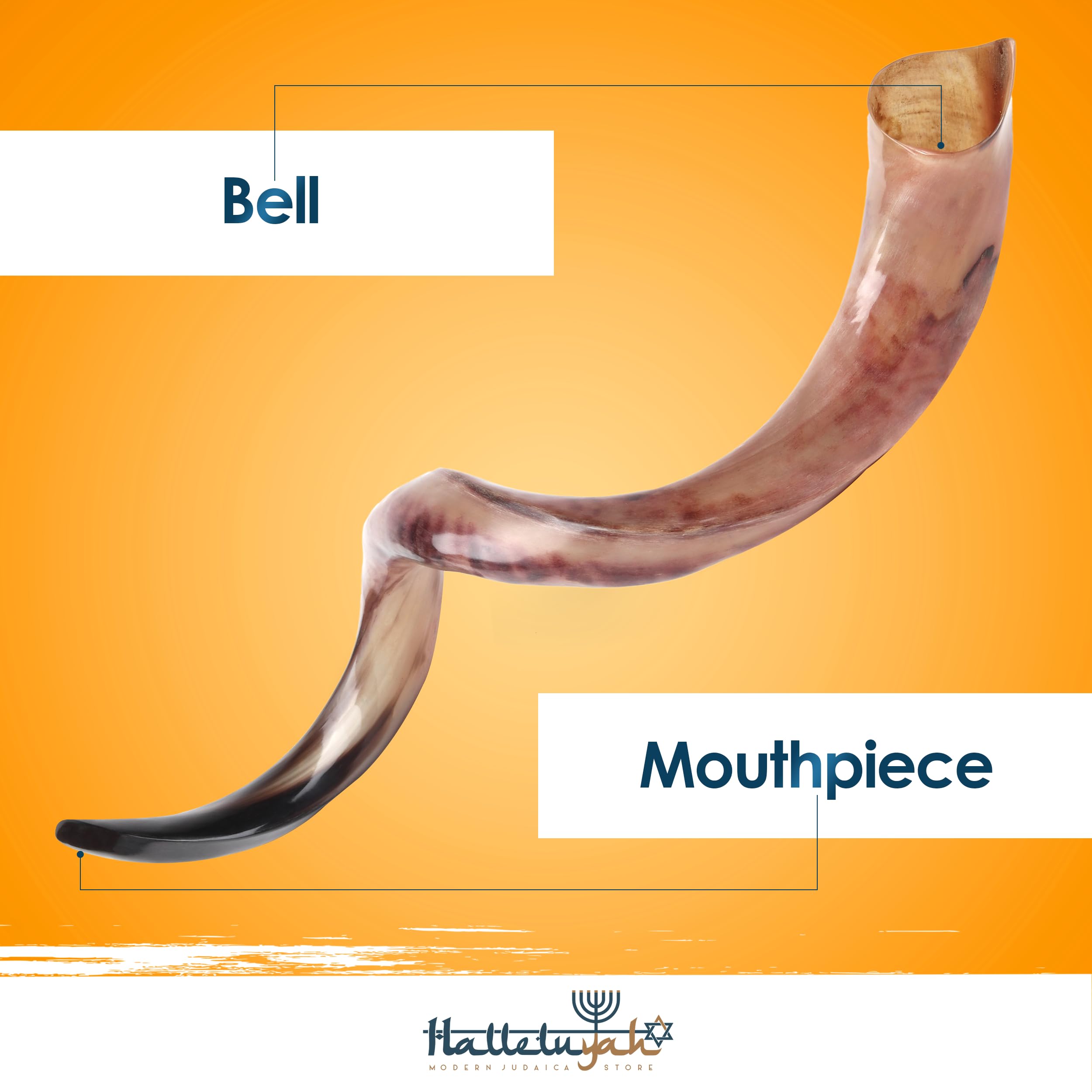 HalleluYAH Original Kosher Fully-Polished Kudu Shofar From ISRAEL