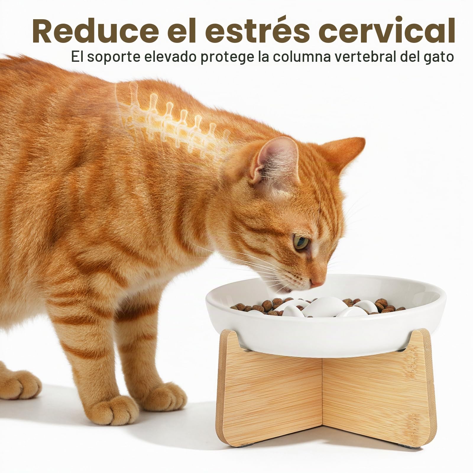PETTOM Comedero Lento de Cerámica para Gatos con Soporte de Bambú Elevado – Cuenco para Gato y Perros pequeños con Sistema Antivoracidad, Plato de Gatos para Ralentizar Comida (Bol Blanco con pie)